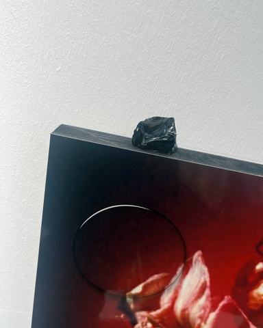 Flaming Lily - RADAR